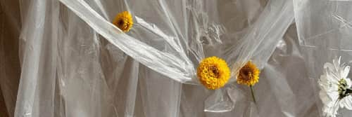 Amanita Labs - Planters & Vases and Decorative Objects