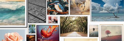 PIPA Designs - Photography and Art