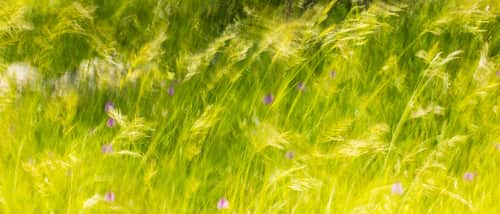 Caroyl La Barge› - Photography and Art