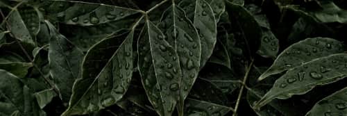 FurnitureOkay - Sofas & Couches and Furniture