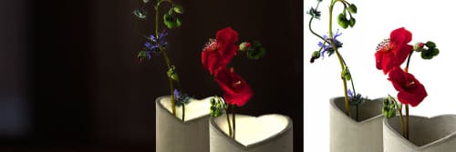 DeKeyser Design - Decorative Objects and Planters & Vases