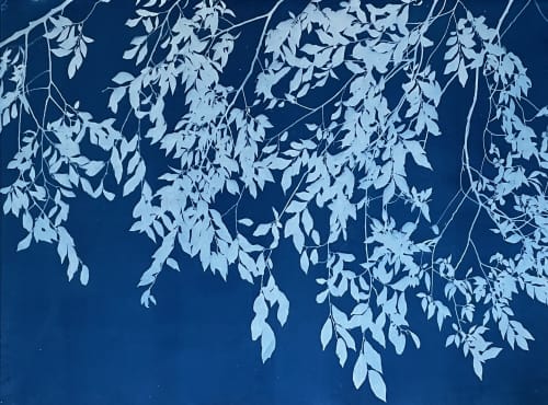 Christine So - Photography and Paintings