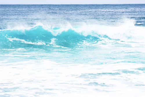 Jenny Partrite - Paintings and Mixed Media