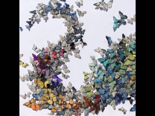 Collada Art - Wall Hangings and Art