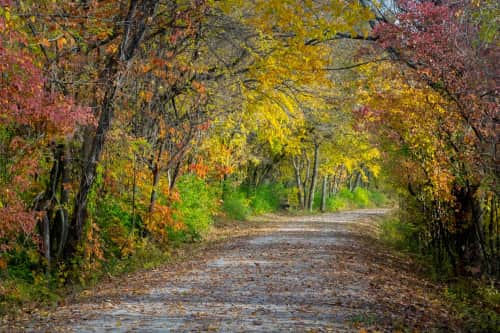 Coblitz Creative Concepts, LLC - Photography and Art