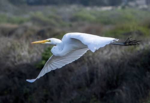 Daniel - Photography and Art