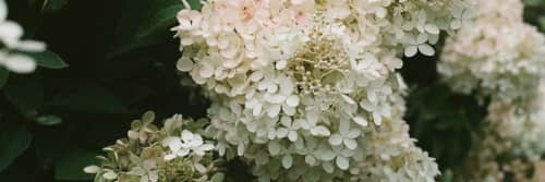 Ashley Brown Durand - Wall Hangings and Linens & Bedding