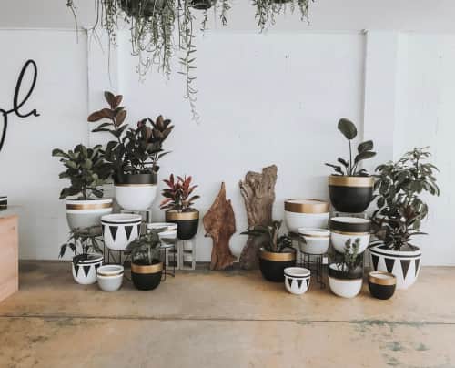Mowgli Studio - Planters & Vases and Planters & Garden