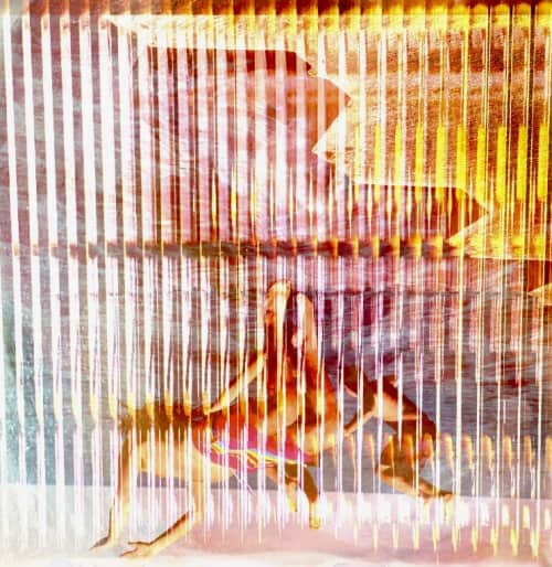 Parker Moses - Photography and Art