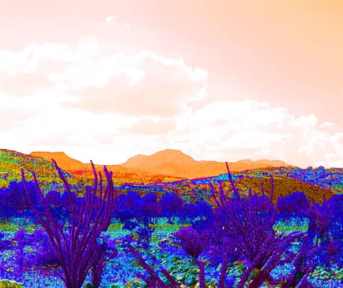 Sabine Senft - Photography and Mixed Media