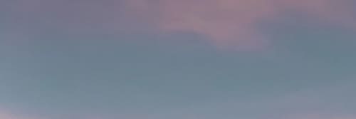 Earlpicnic - Decorative Objects and Art