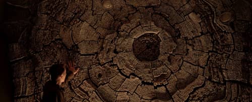 Dmitrii Solodcenco-TOR Design - Art