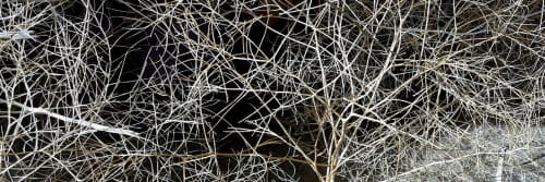 Farmhaus + Co. - Art and Lighting