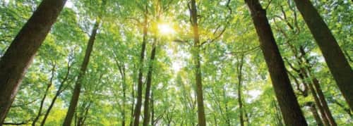 Ingram Studio - Storage and Furniture