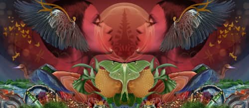 Amy Rader - Murals and Art