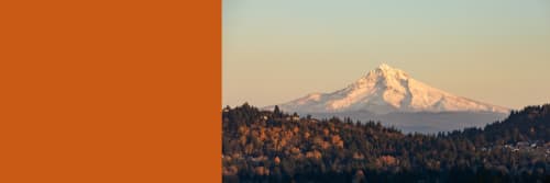 Honeycomb - Photography and Prints