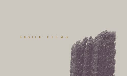 Fesiuk Films - Paintings and Art