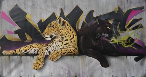 Dave Baranes - Art and Street Murals