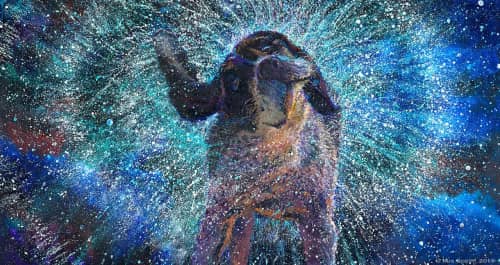 Iris Scott - Paintings and Art