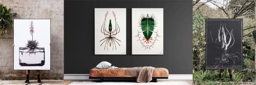 clintonfriedman - Prints and Art