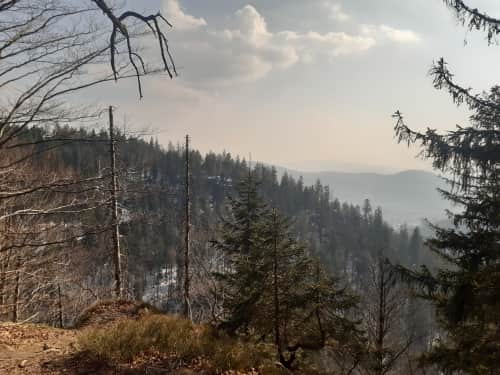 Jb Sculptures - Sculptures and Art