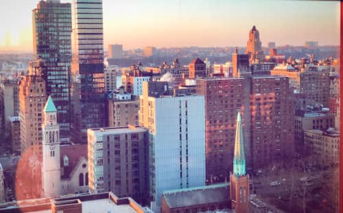 Taya Naumovich - Paintings and Art