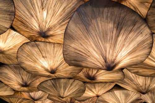 Berna - Chairs and Furniture