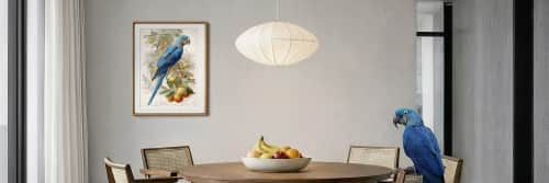 Studio Linnæus - Prints and Art