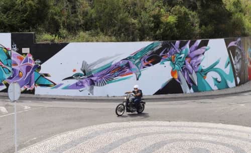 André Acer - Murals and Street Murals