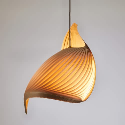 Organic Modern Inspired Designs