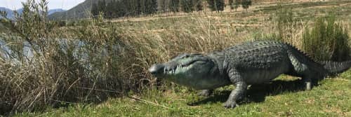 Dido Crosby - Public Sculptures and Sculptures