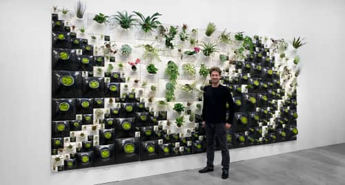 Pandemic Design Studio - Planters & Garden and Lighting