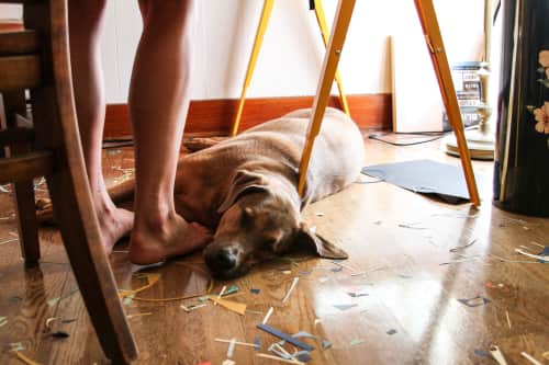 Paige Russell, ELOI - Rugs & Textiles and Art