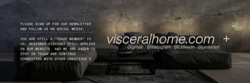 visceral home - Paintings and Art