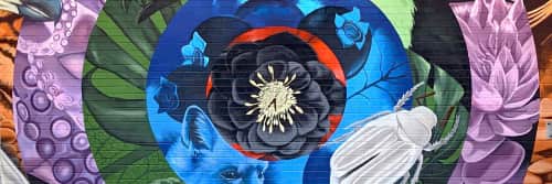 Sophy Tuttle Studios - Art and Street Murals