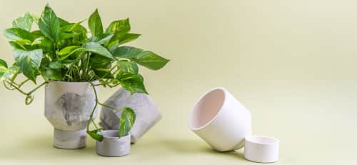 The Northern Habitat - Planters & Vases and Planters & Garden