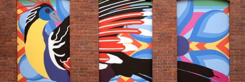 Toni Miraldi / Mural Envy, LLC - Murals and Street Murals