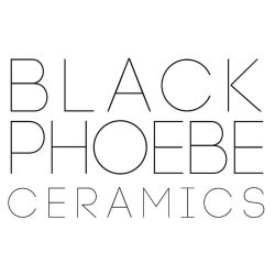 Black Phoebe by Heather Rae Morton