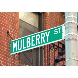 Mulberry St, Little Italy