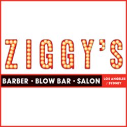Ziggy's Hair L.A.