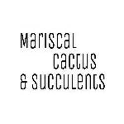 Mariscal Cactus & Succulents