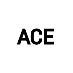 Ace Gallery Los Angeles