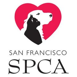 San Francisco SPCA Veterinary Hospital Pacific Heights