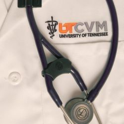 UT College of Veterinary Medicine