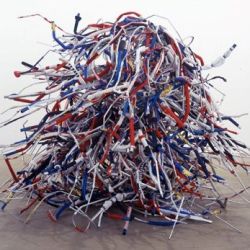 Liz Larner