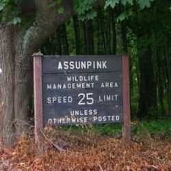 Assunpink Wildlife Preserve, NJ