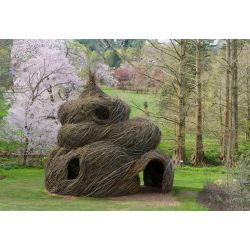Patrick Dougherty