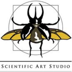 Scientific Art Studio