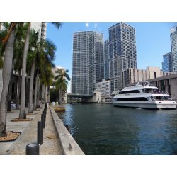 Miami River Waterfront