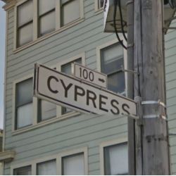 Cypress Alley, SF